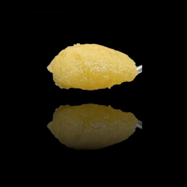 High THCa Badder Black Garlic Live Resin b