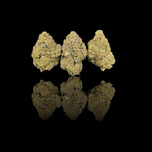 High THCa Black Truffles [Indica Dominant]