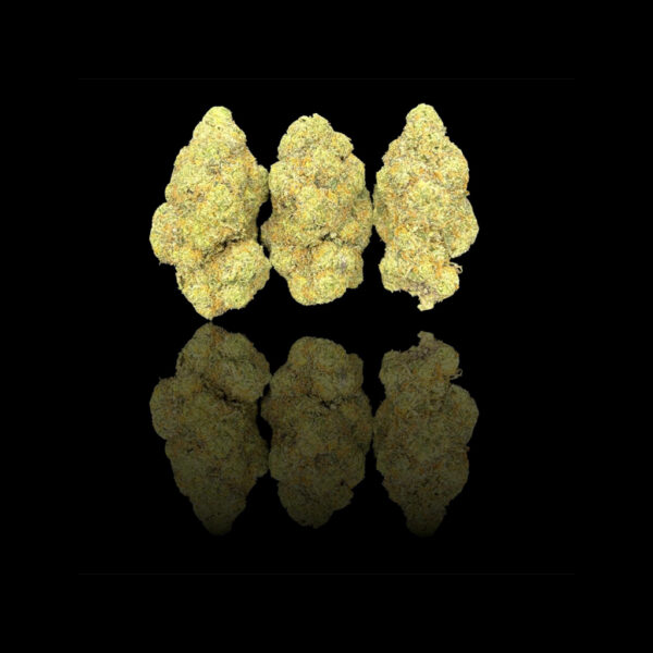 High THCa Rose Bud [Indica]